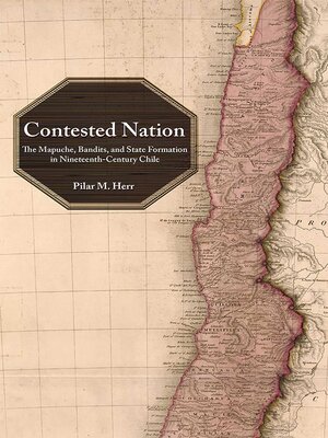 cover image of Contested Nation